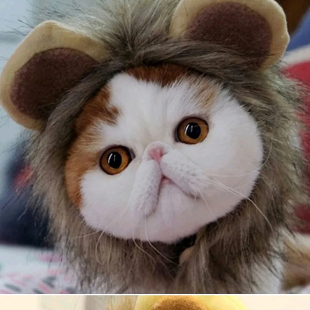 Halloween Bundle of 3 cat hats